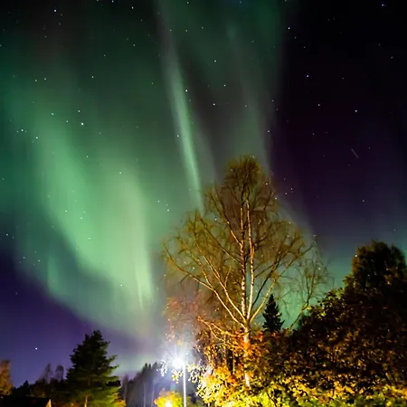 Mother Reindeer S House Villa *