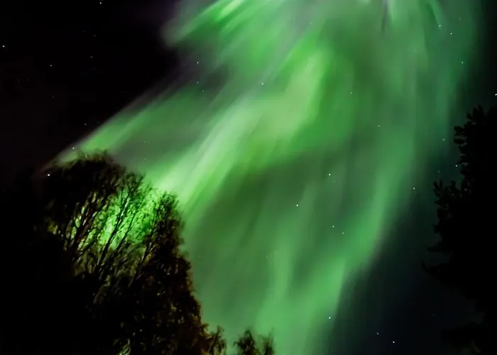 Mother Reindeer S House Ροβανιέμι