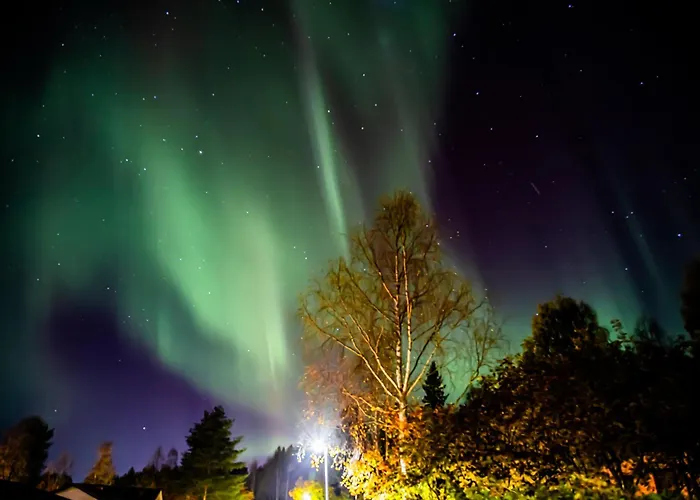 Mother Reindeer S House Βίλα *